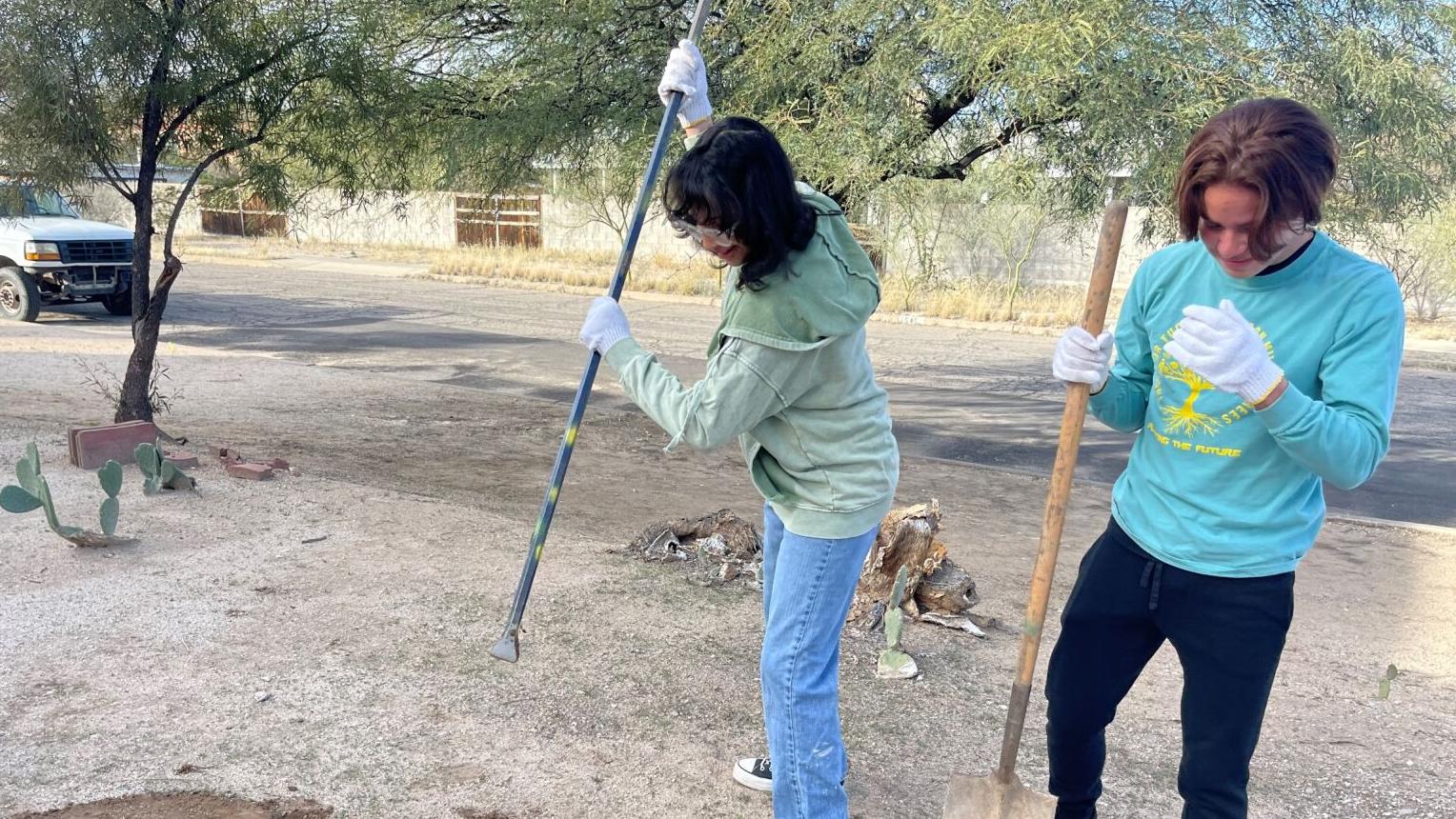 Tucson's 1 million trees by 2030 goal getting community boost